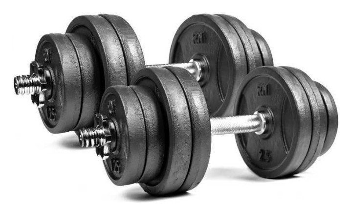 Гантели разборные металлические по 16 кг. RNS_RN_QTR16х2