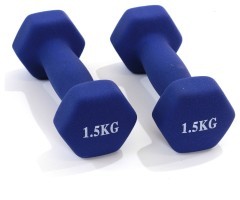 ГАНТЕЛИ 1.5 кг BAVAR SPORT