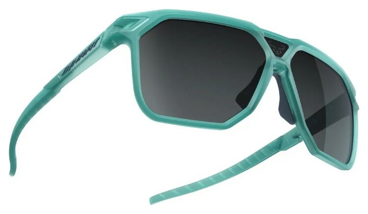 Окуляри Dynafit Traverse Sunglasses GRG_016.003.0833