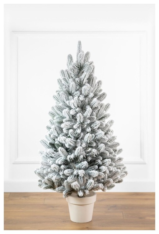 Лапландская елка в горшке, заснеженная 5406911