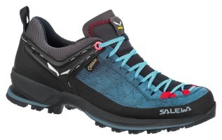 Кросівки Salewa WS MTN Trainer 2 GTX