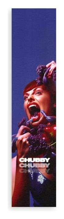 Наждак Chubby Pro  FRD.047915