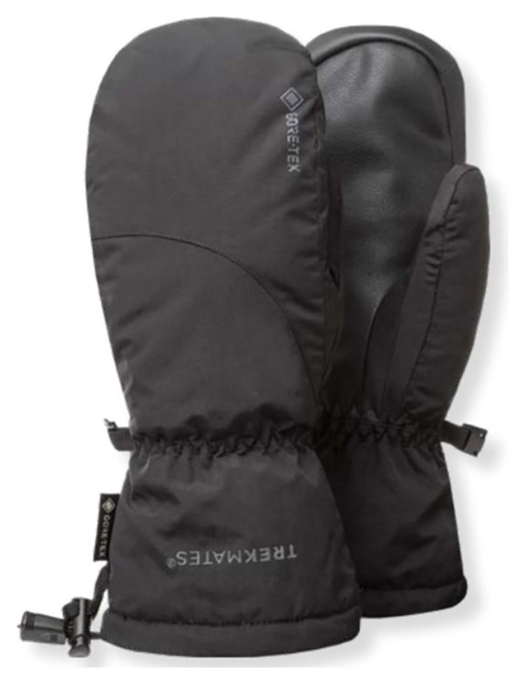 Перчатки Trekmates Chamonix GTX Mitt Wms 015.1643
