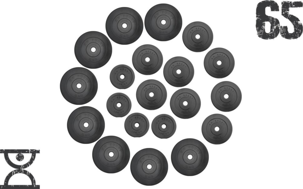 65 кг (4 по 1.25, 8 по 2.5, 8 по 5 кг) дисков, покрытых пластиком (31 мм) RNS_RNbitset65