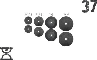 37 кг (2х1.25, 2х2.5, 2x5 и 2x10) дисков, покрытых пластиком (31 мм)