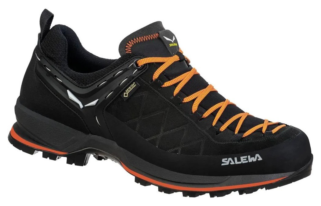 Кросівки Salewa MS MTN Trainer 2 GTX GRG_013.001.4286