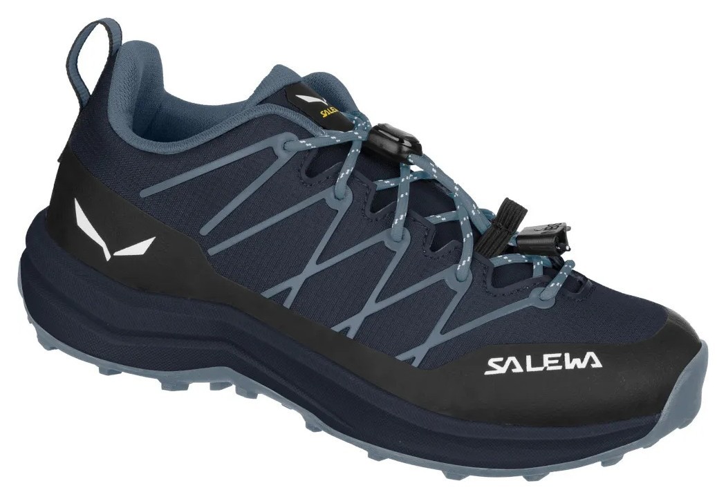 Кросівки Salewa Wildfire 2 Jr GRG_013.001.6603