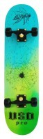 Скейтборд USD PRO BEE RIDE 31.0″ Turquoise/black (USB21J3S)