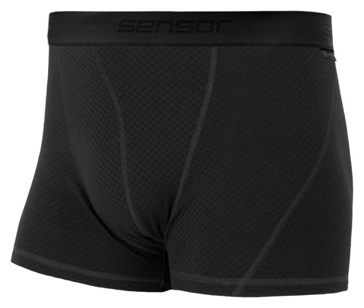 Термотрусы мужские Sensor Merino DF black 15100027, SM21M-black SM21M-black-M