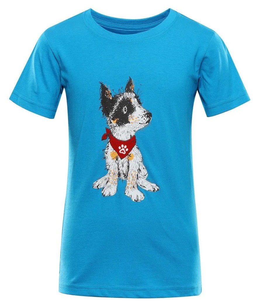 Футболка Alpine Pro Ecomo 3 GRG_007.022.0018