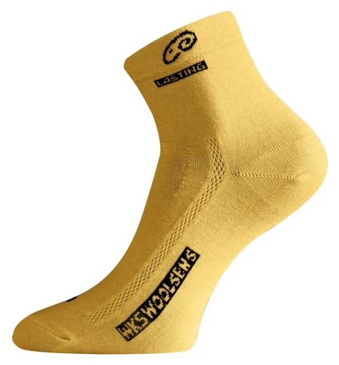 Шкарпетки Lasting WKS GRG_002.003.3258