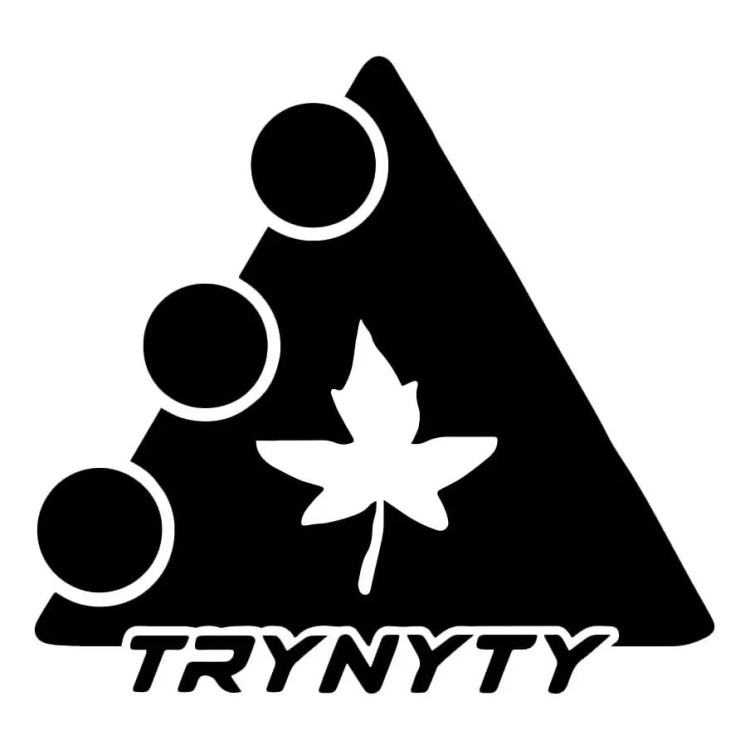 Trynyty Logo наклейка (стікер) FRD.047584