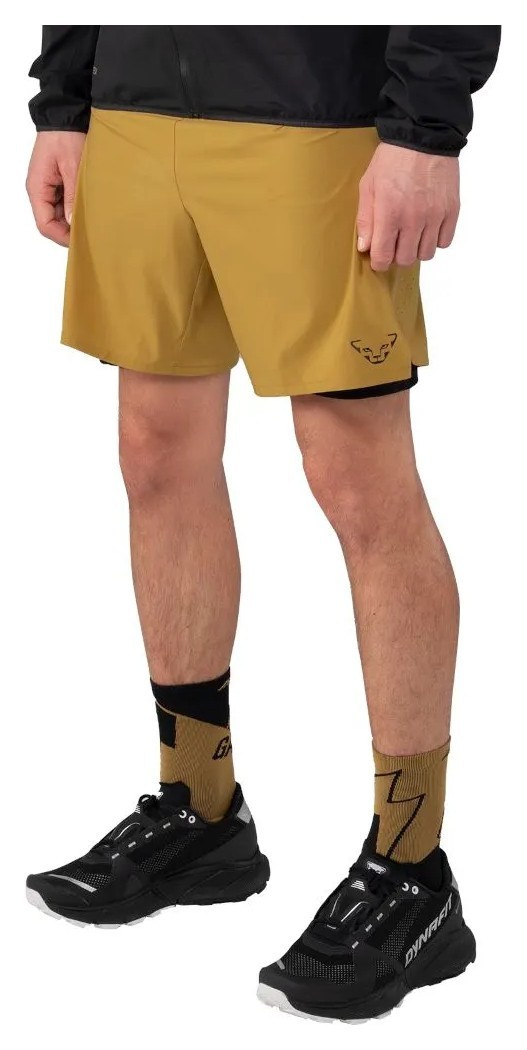 Шорты Dynafit Alpine Pro 2/1 Mns GRG_016.002.2800