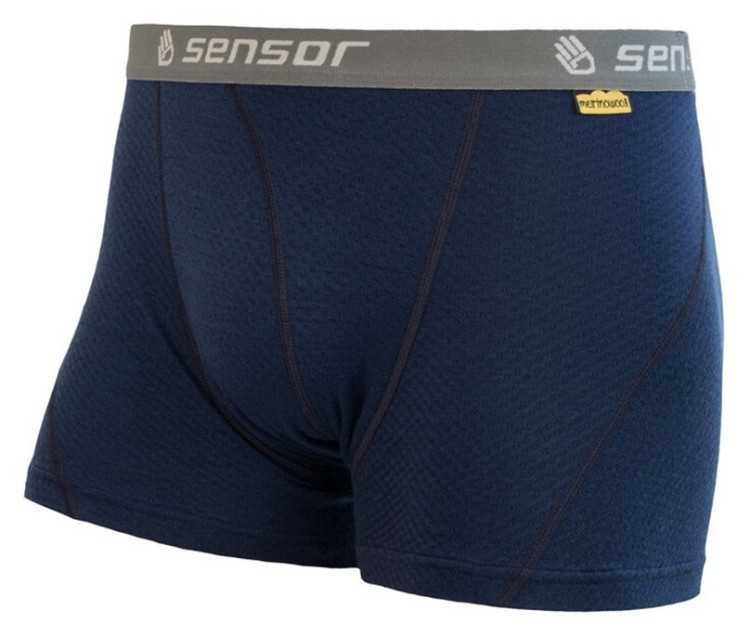 Термотрусы мужские Sensor Merino DF deep blue 19200032, SM21M-deepblue SM21M-deepblue-L