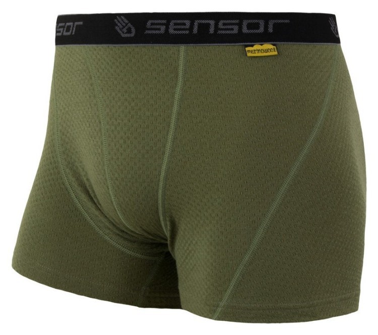 Термотрусы мужские Sensor Merino DF safari 17200035, SM21M-safari SM21M-safari-L