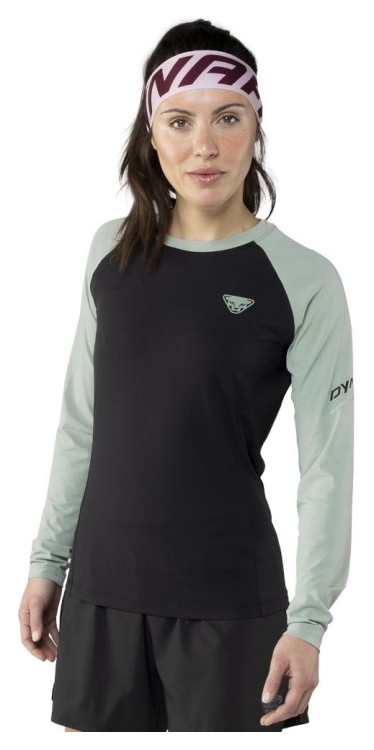 Футболка Dynafit Alpine Pro L/S Tee Wms 016.002.2713