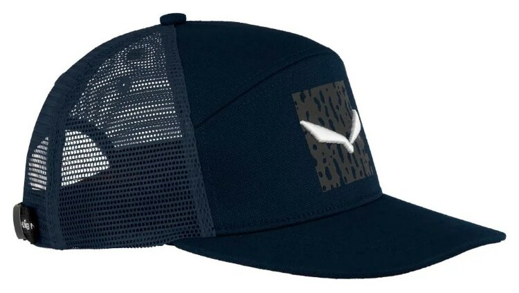 Кепка Salewa Pure Salamander Logo Mns GRG_013.012.1415