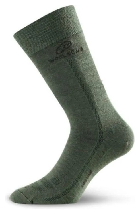 Шкарпетки Lasting WLS GRG_002.003.1358