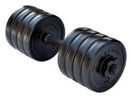 Гантель разборный RN-Sport Long 10 кг