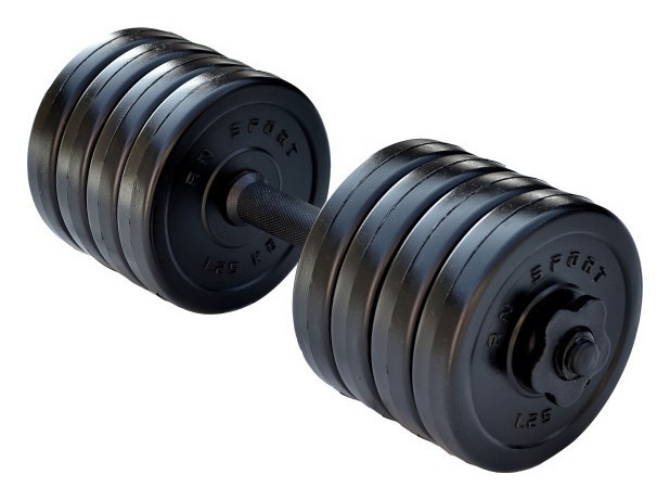 Гантель разборный RN-Sport Long 10 кг RNS_long_10