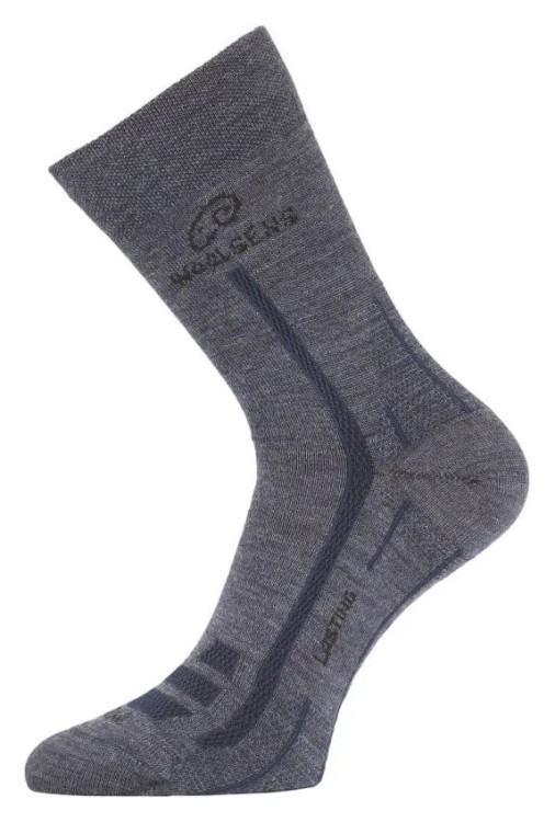 Шкарпетки Lasting WLS GRG_002.003.3569