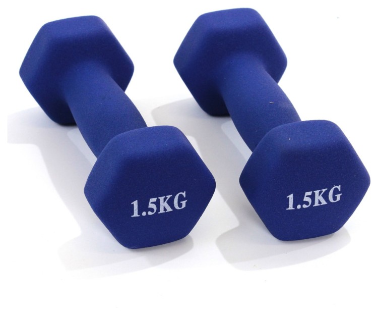 ГАНТЕЛИ  1.5 кг BAVAR SPOR BVR_3091000