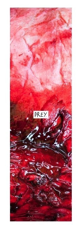 Наждак Prey Pro FRD.048206